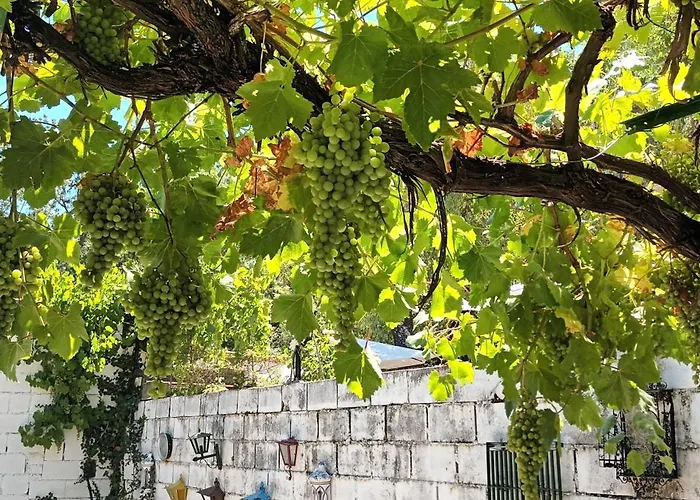 La Parra De Pepa